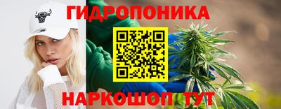 молекула духа Малоярославец