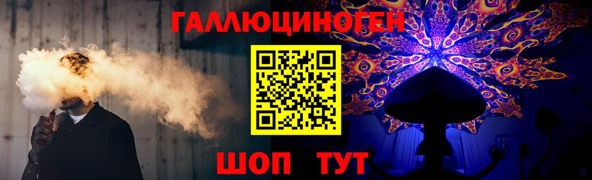 Галлюциногенные грибы Psilocybe Долгопрудный